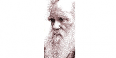 darwin_evolution2